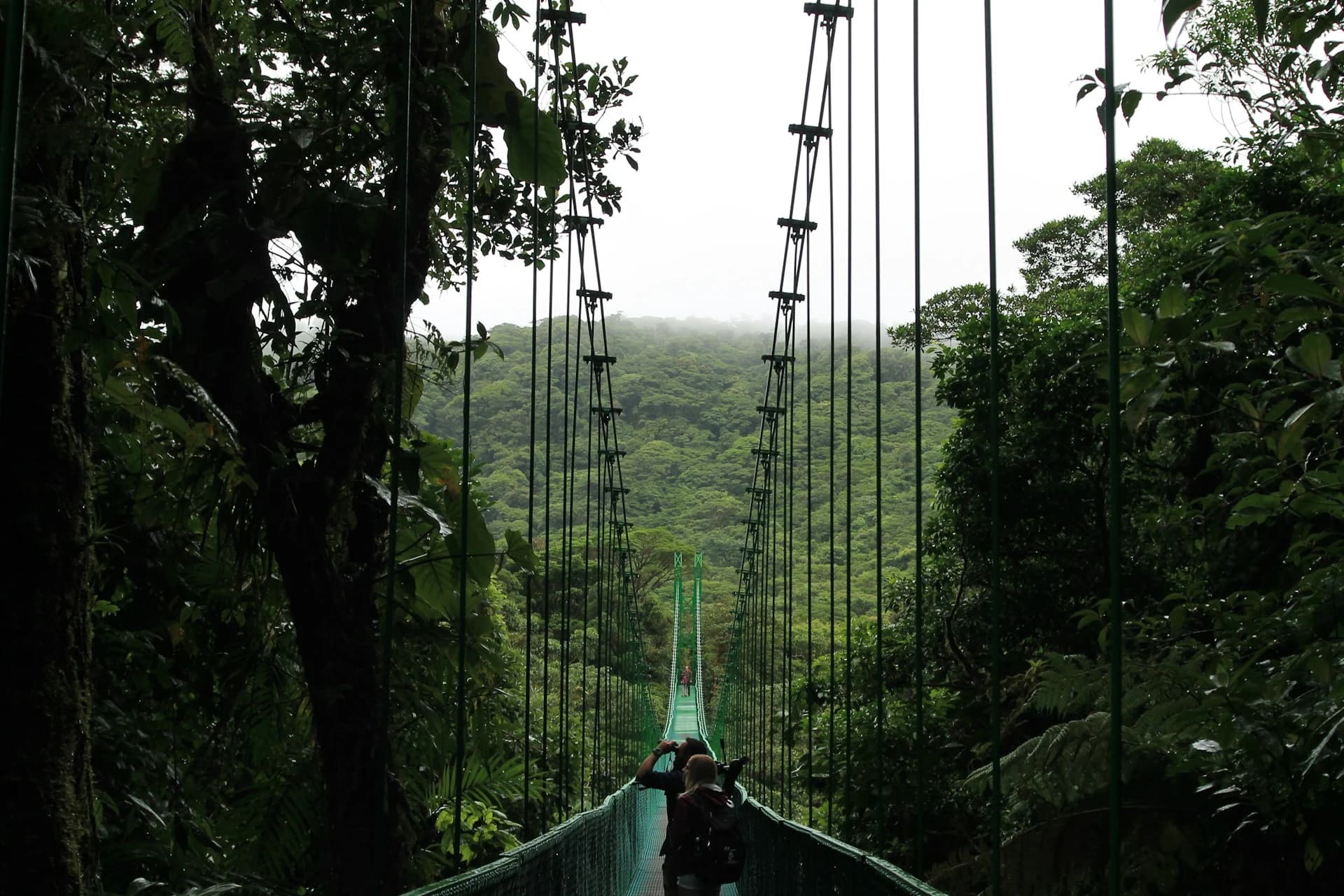 Suspension bridge stretching through the misty cloud forest canopy at Monteverde, Costa Rica
