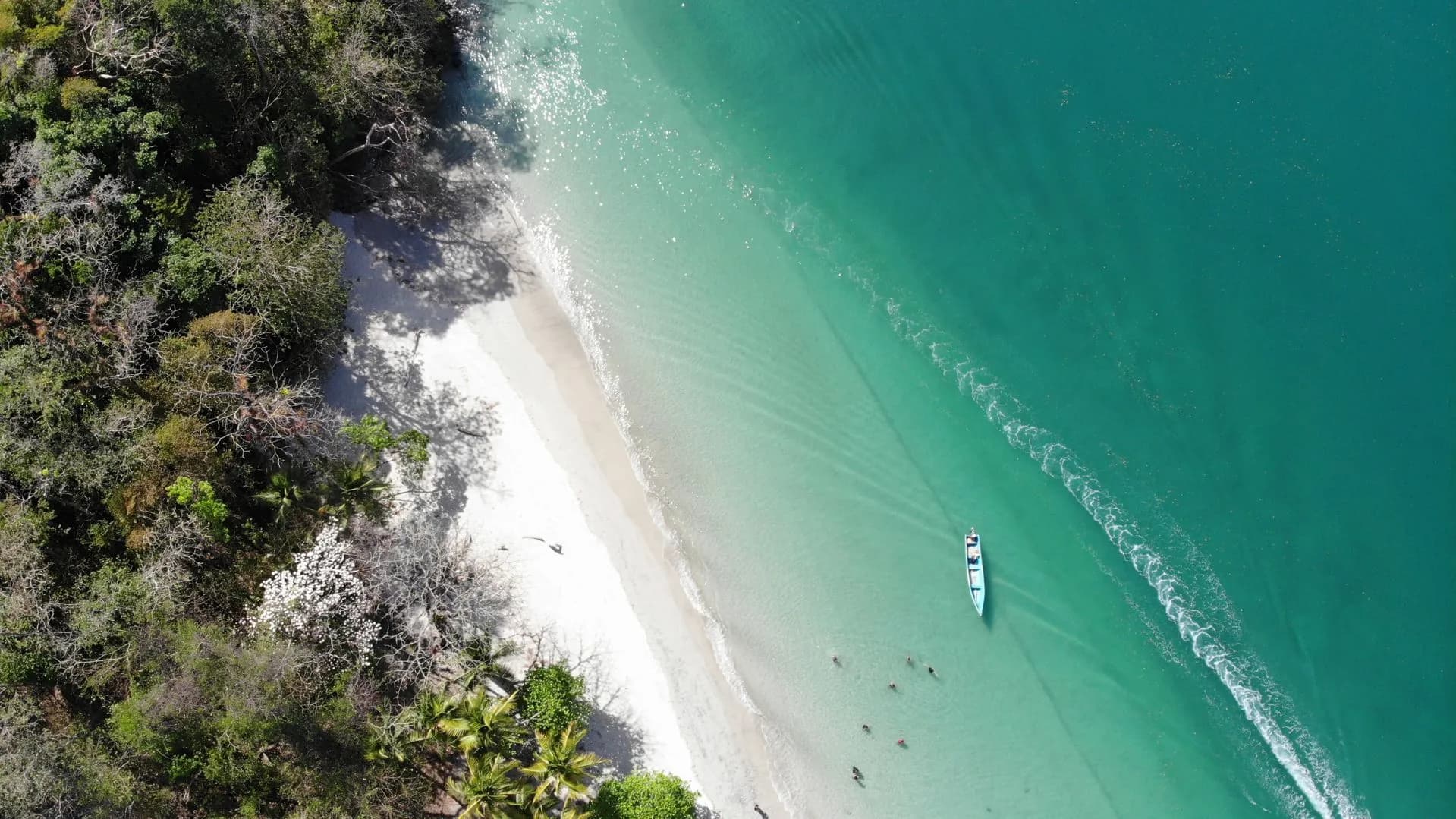 Misty green October day at Manuel Antonio with rainforest, white sand, and turquoise water