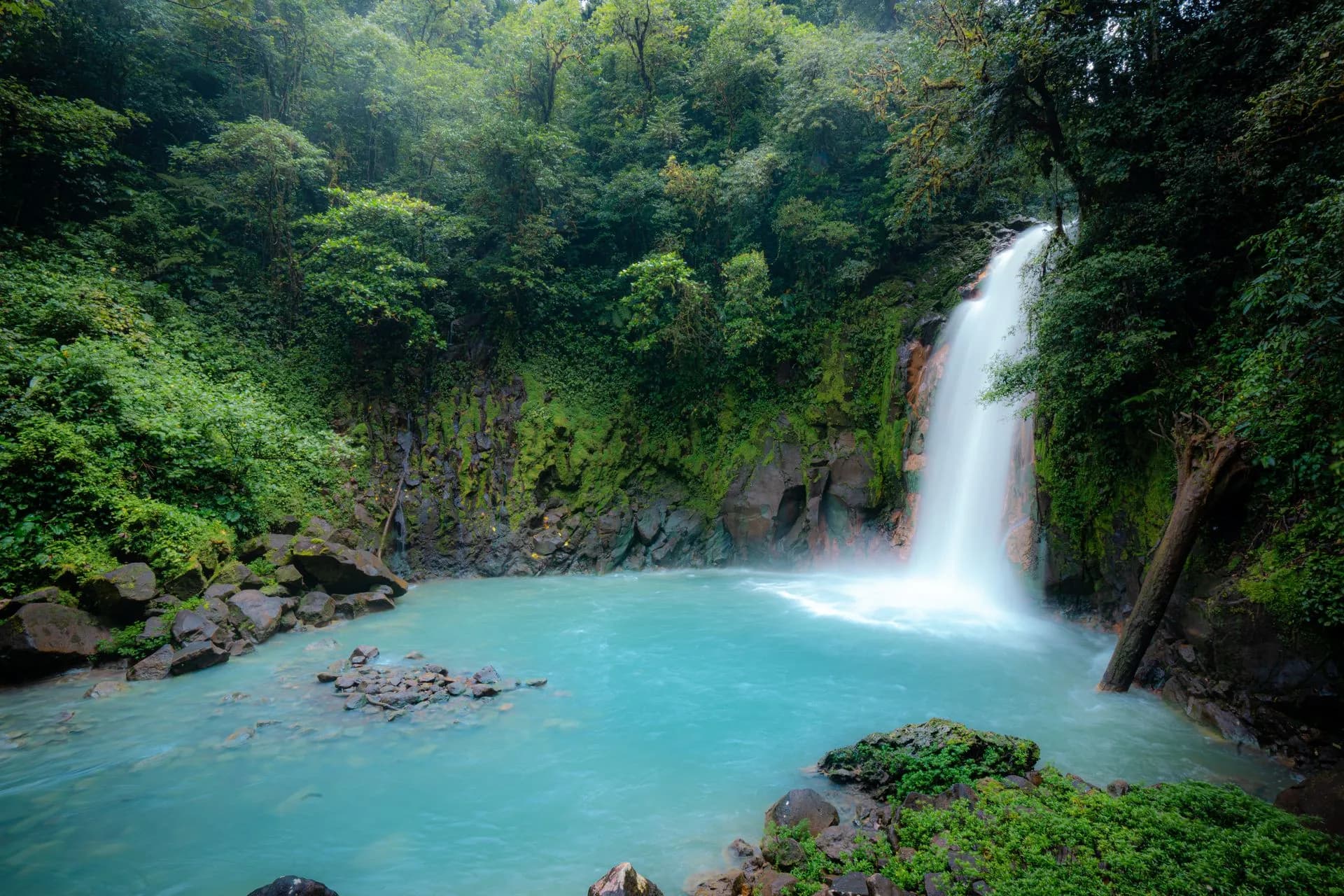 La catarata turquesa del Río Celeste cayendo en una poza azul brillante en el Parque Nacional Volcán Tenorio, Costa Rica