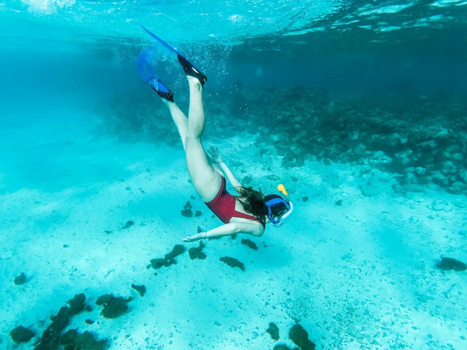 Persona haciendo snorkel sobre un arrecife rocoso en las Islas Catalinas frente a Tamarindo con cardúmenes de peces abajo