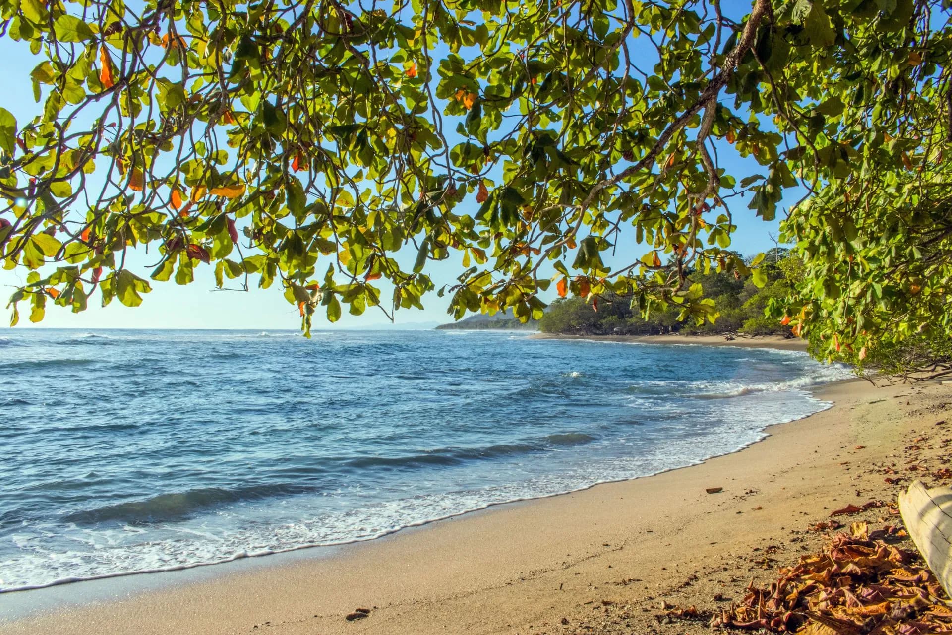 Heavy afternoon rain over an empty green coastline near Tamarindo at the end of green season, Guanacaste, Costa Rica