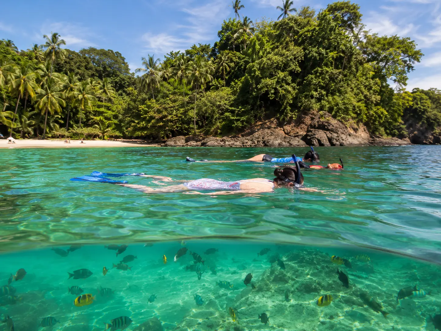 GoPro photo of our friends swimming at Biesanz Bay during boat tour in Janurary 2025.