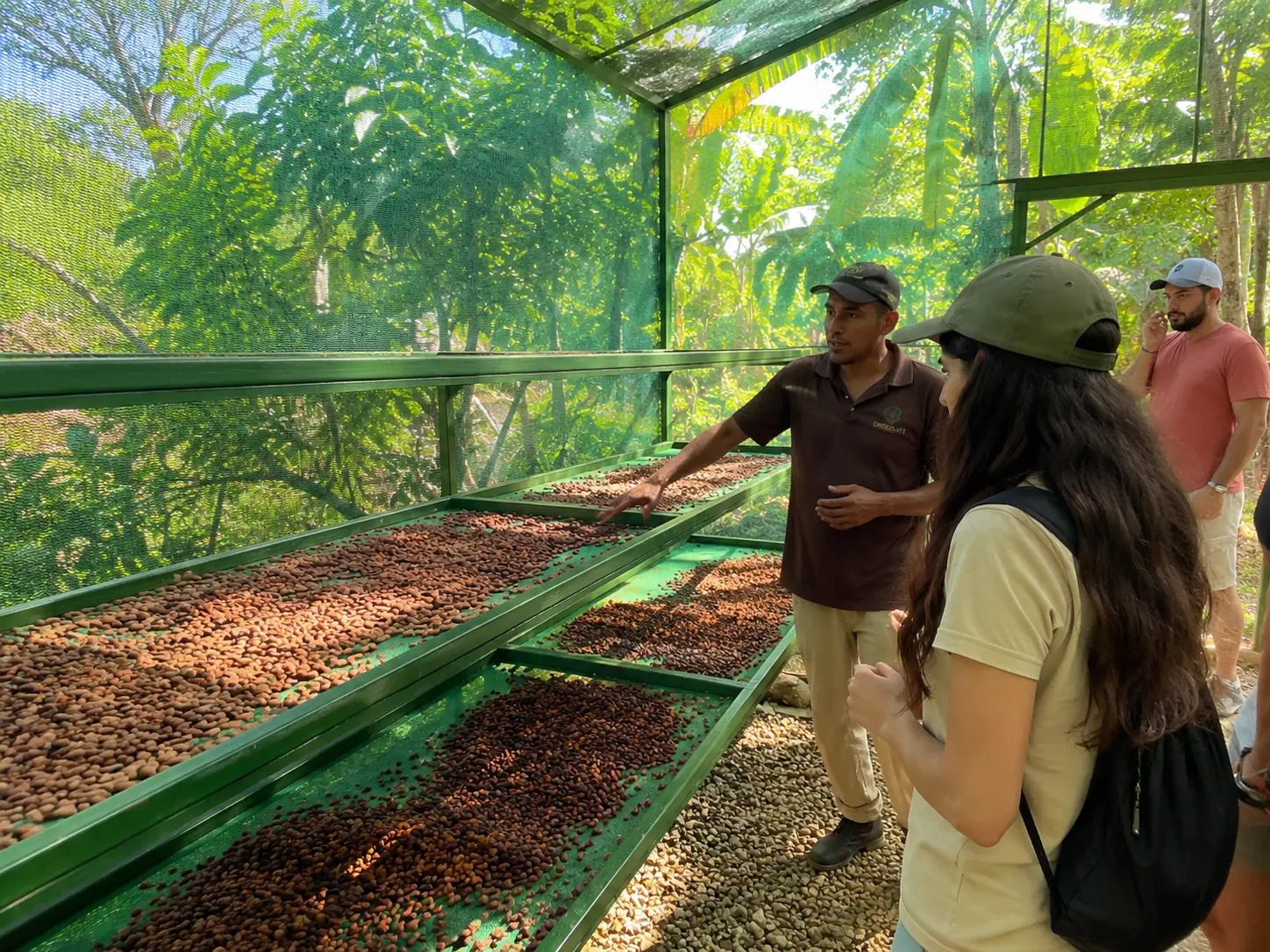 Tour guide explaining traditional cocoa preparation process on a chocolate tour near Manuel Antonio, Costa Rica