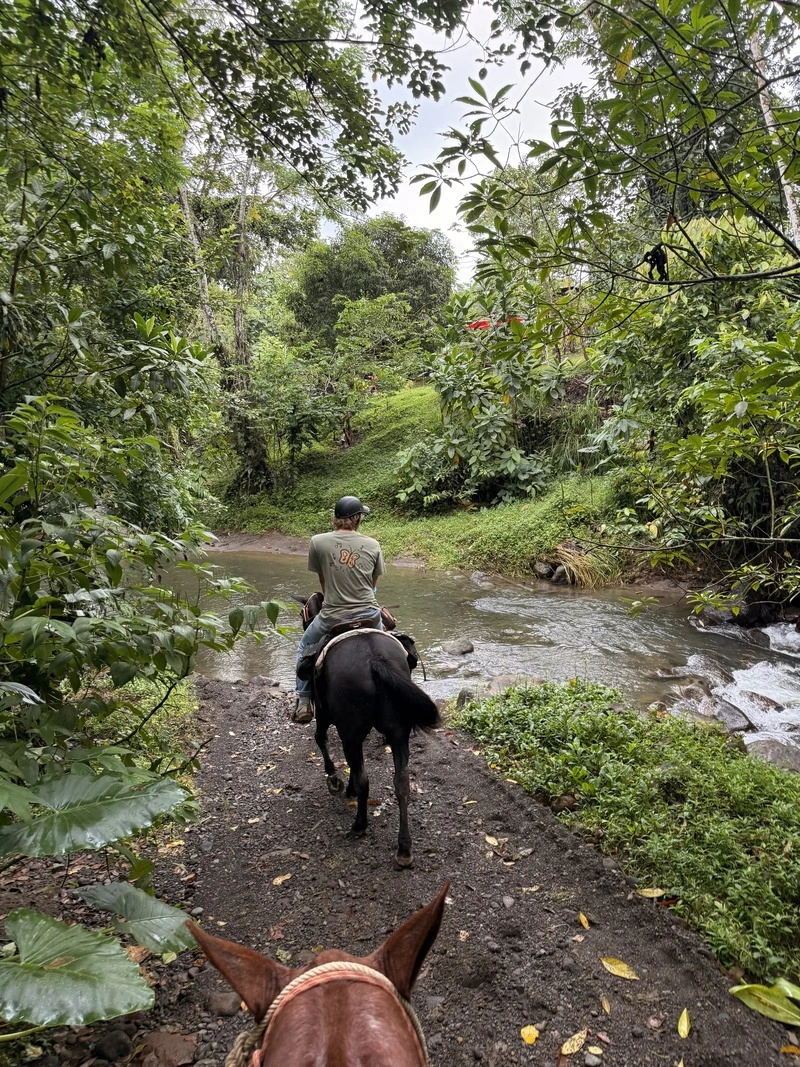 Riders on horseback crossing a creek through the rainforest during a private tour at Arenal Fields Nature Park near La Fortuna