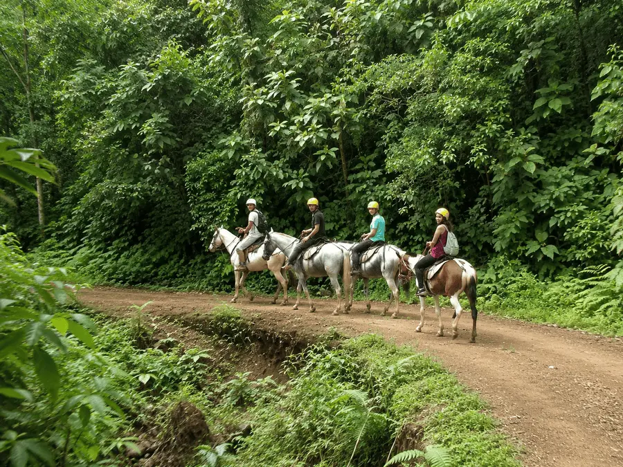 Small group of riders on horseback on a jungle trail in Manuel Antonio, Costa Rica