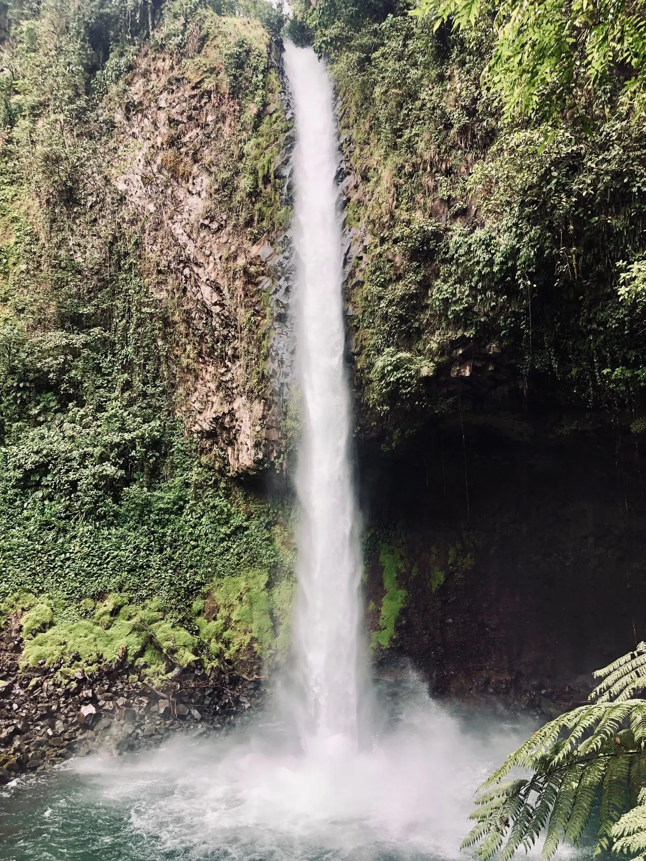 Close-up of the La Fortuna Waterfall cascading into its turquoise pool, photographed on our tour