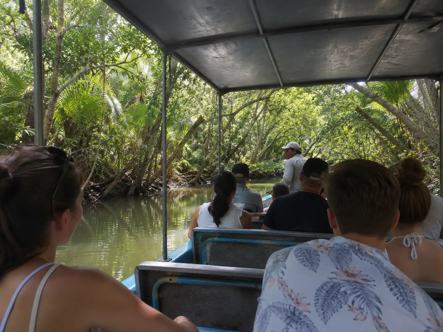 Photo from inside the boat during our daytime mangrove tour with Costa Rica Jade Tours in Manuel Antonio.