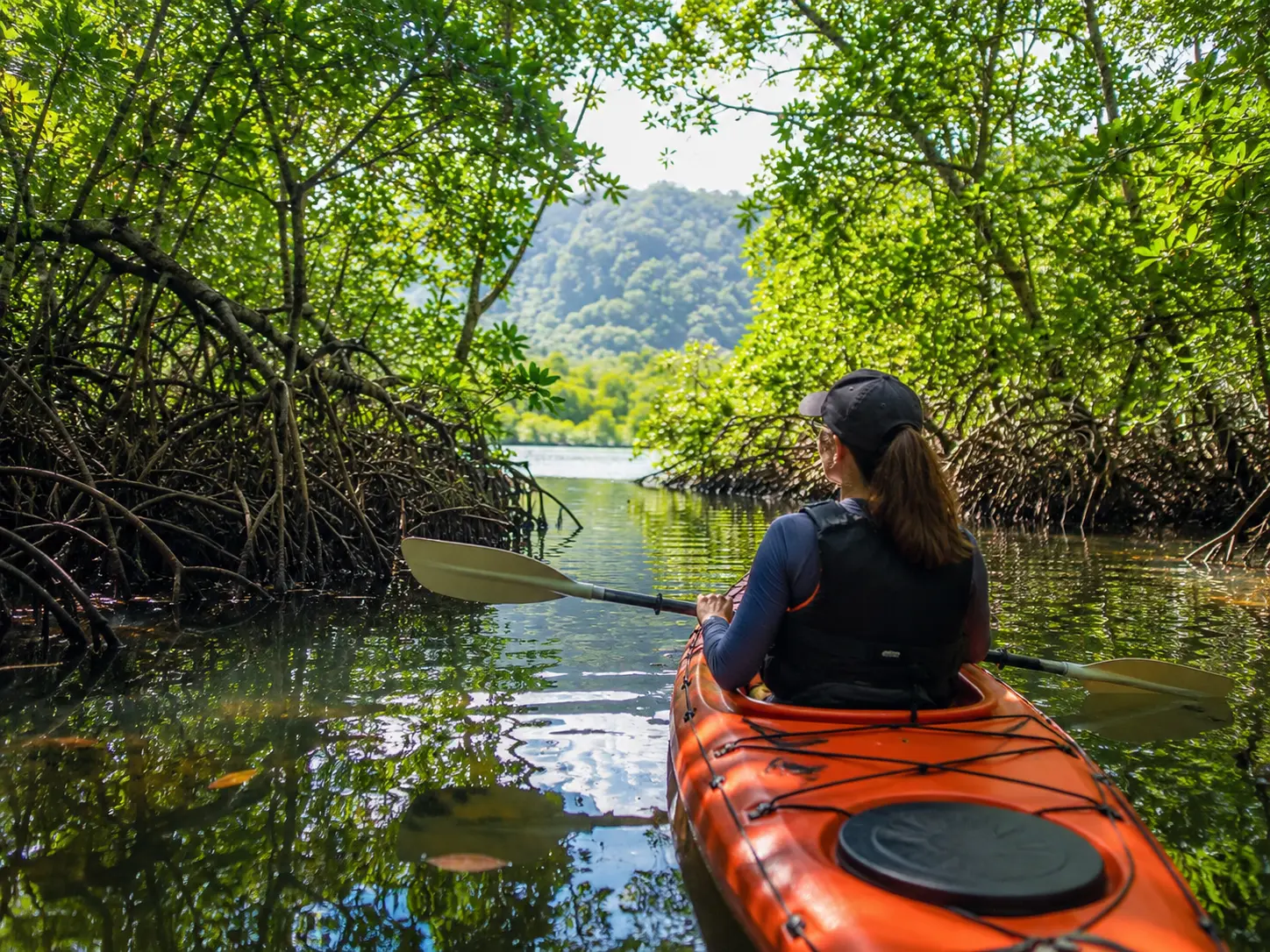 Kayak tour through the Damas Island mangroves near Manuel Antonio, Costa Rica