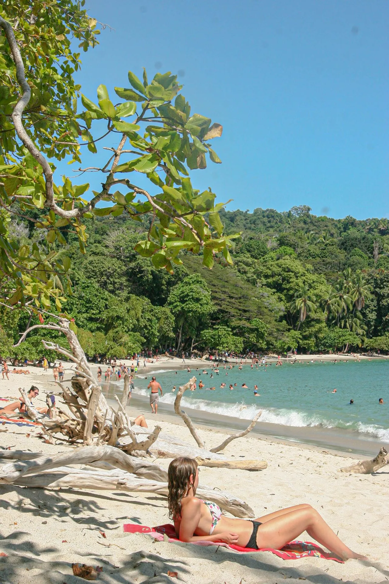 Sunbathers and swimmers enjoying a lively afternoon at Manuel Antonio Beach, Costa Rica