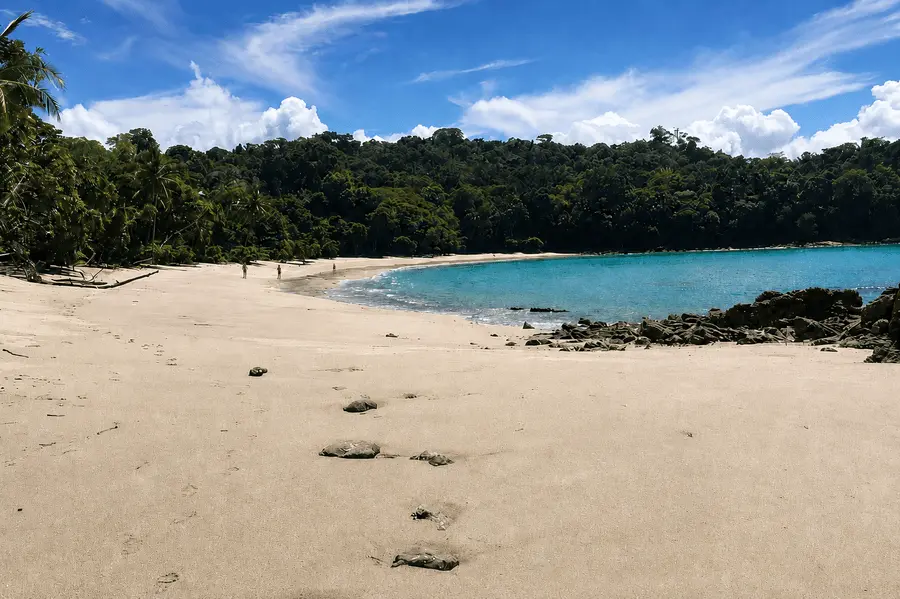 Playa Manuel Antonio en una tranquila mañana con agua turquesa y vegetación en el promontorio, Parque Nacional Manuel Antonio, Costa Rica