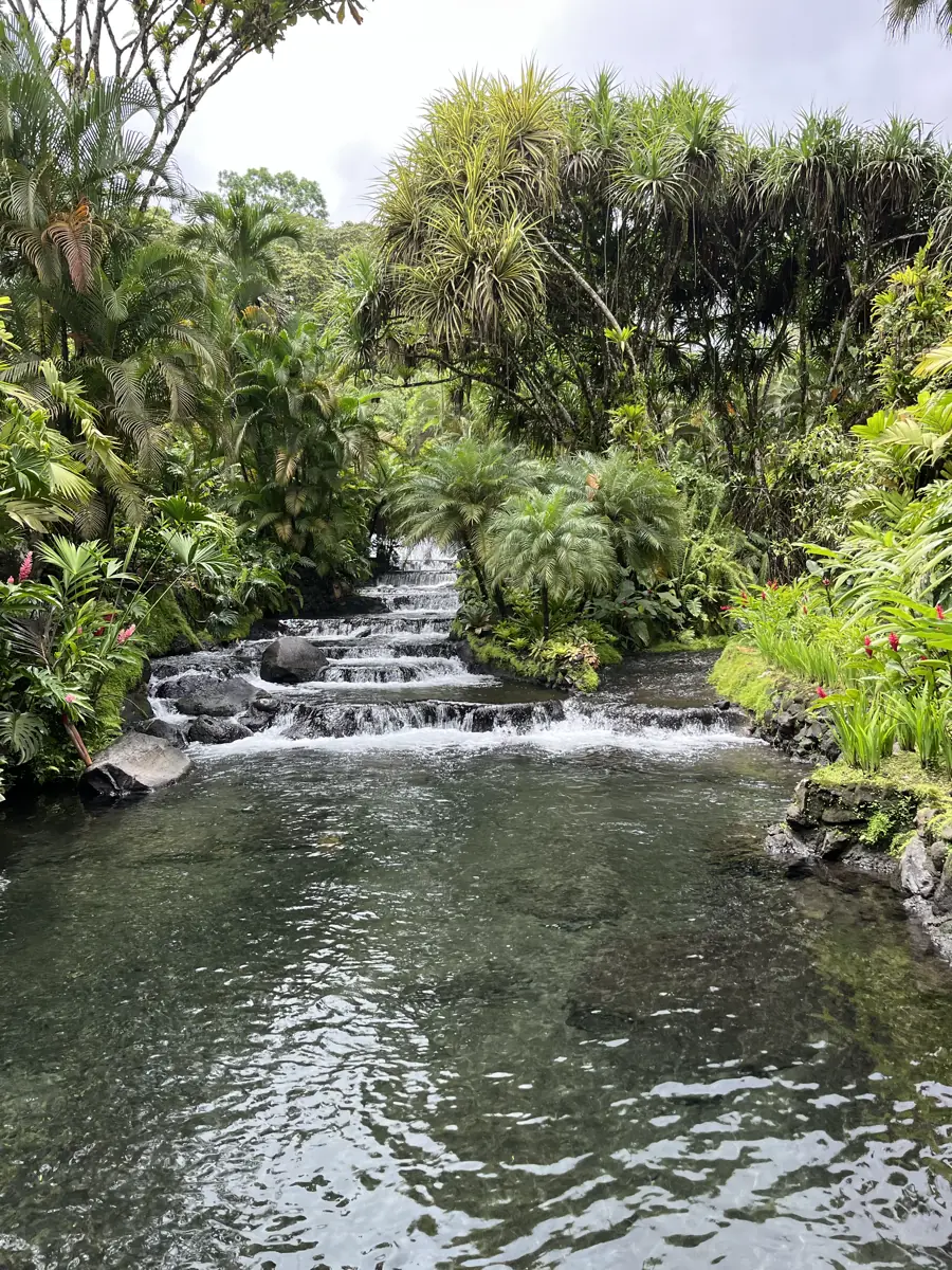 First natural swimming pool at Tabacón Hot Springs Resort in La Fortuna, Costa Rica